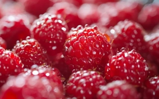 Комсомольская Правда