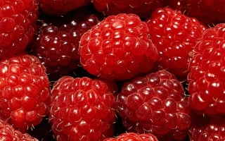 Крупный план свежих малин - Вогник