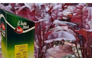 Упаковка семян il buou sewu с изображением мангольда - БУЛС БЛАД