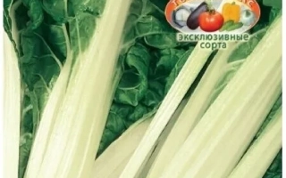 Семена мангольда СВЕКМАН на зелёном фоне