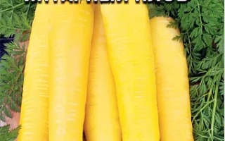 Янтарный Плов