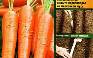 Пакет насіння моркви Атлет F1 від Аеліта