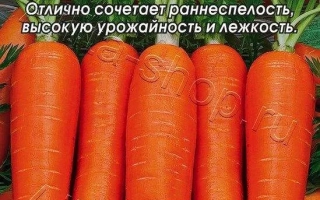 Пакет с морковью сорта Барыня