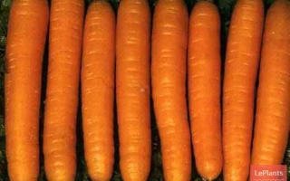 БИРЮЧЕКУТСКАЯ 415