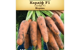 Пакет семян Кардиф F1, морковь