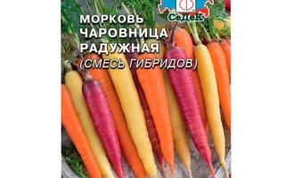 Морковь Чаровница на пакете с семенами