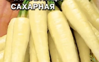 Чаровница Сахарная