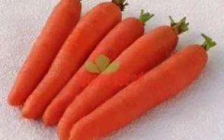 Свежая морковь на белом фоне - Цидера