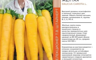 Чурчхела Желтая