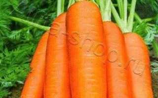 Пакет семян моркови Детка-Конфетка с изображением оранжевых корнеплодов