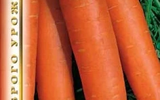 Пакет семян моркови Долянка с изображением свежих оранжевых морковок на зеленом фоне.