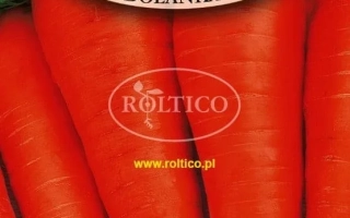 Семена моркови сорта Долянка на упаковке Marchew Jadalna Dolanka