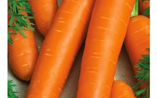 Пакет семян моркови Император с изображением свежих морковей - ЭМПЕРОР