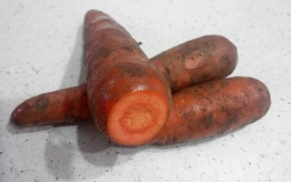 Три моркви на світлому фоні - Факел