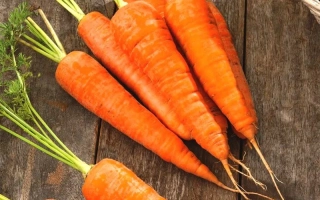 Свежие моркови на деревянной поверхности - Фатима