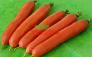 Морковь Фаворит на зелёном фоне