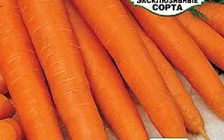 Морковь сорта Эксклюзивные сорта - ФЕДОРОВНА