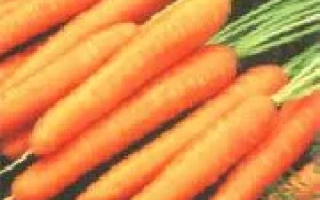 Пакет насіння моркви ФЕНСІ