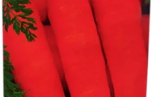 Пакет семян моркови Голландка