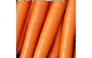 Морковь ХРУСТИШКА-ЗАЙЧИШКА на упаковке семян