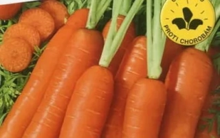 Пакет семян моркови Jitka F1 от бренда Semo - Йитка F1