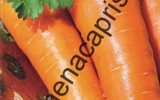 Семена моркови сорта Канберра F1 на упаковке