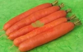 Свежие морковь на зелёном фоне - КАРОТЕЛА