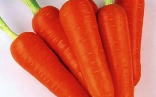 Свіжі моркви з зеленими хвостиками на білому фоні - Кентавр