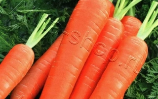 Пакет насіння моркви Кореяночка з зображенням свіжих помаранчевих морквин та південнокорейського прапора.