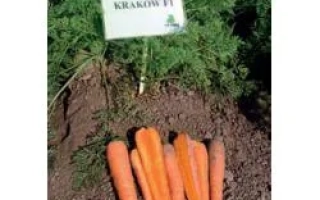 Краков РЦ F1