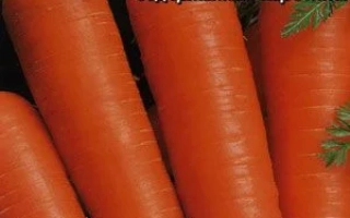 Семена моркови Красный Великан на упаковке с изображением корнеплодов