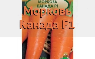 Семена моркови сорта Канада F1 на упаковке - Купало F1