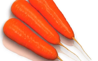 Три моркови на белом фоне - Курода Шантане