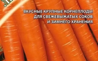 Пакет семян моркови Лисичка-Сестричка