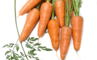 Свежая морковь с ботвой на белом фоне - Марлинка