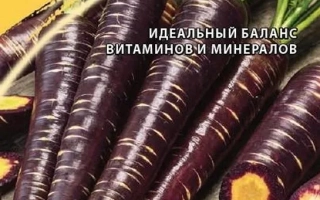 Мармелад Фиолетовый