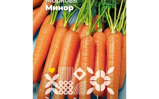 Насіння моркви МИНОР на упаковці з зображенням свіжих коренеплодів - МІНОР