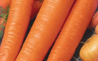 Морква Монастирська на упаковці насіння