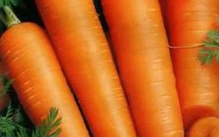 Пакет насіння моркви сорту Морева - МОРЕВНА