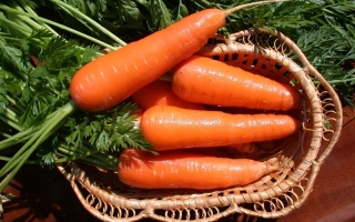 Свежая морковь в плетеной корзине на фоне зелени - Московская зимняя А 515