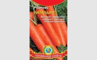 Пакет насіння моркви Нагано з зображенням помаранчевих коренеплодів