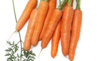 Свежая морковь с зеленью на белом фоне - Нантская 4