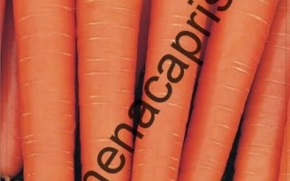 Семена моркови сорта Навал на упаковке