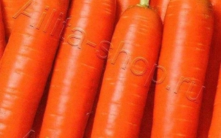 Несравненная