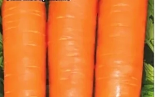 Пакет семян моркови сорта Неженка