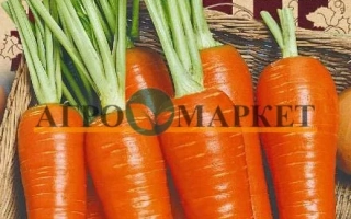 Пакет насіння моркви сорту Ніжна з зображенням свіжих овочів