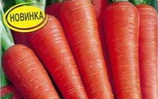 Осенний Марафон