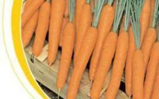 Корзина с морковью без названия продукта - Престо F1