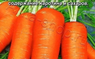 Пакет семян моркови РАФИНАД с изображением свежих оранжевых корнеплодов.