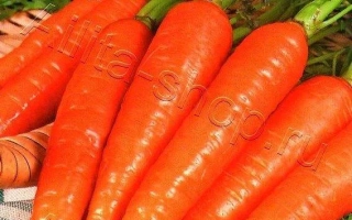 Пакет насіння моркви Цукрова Королева